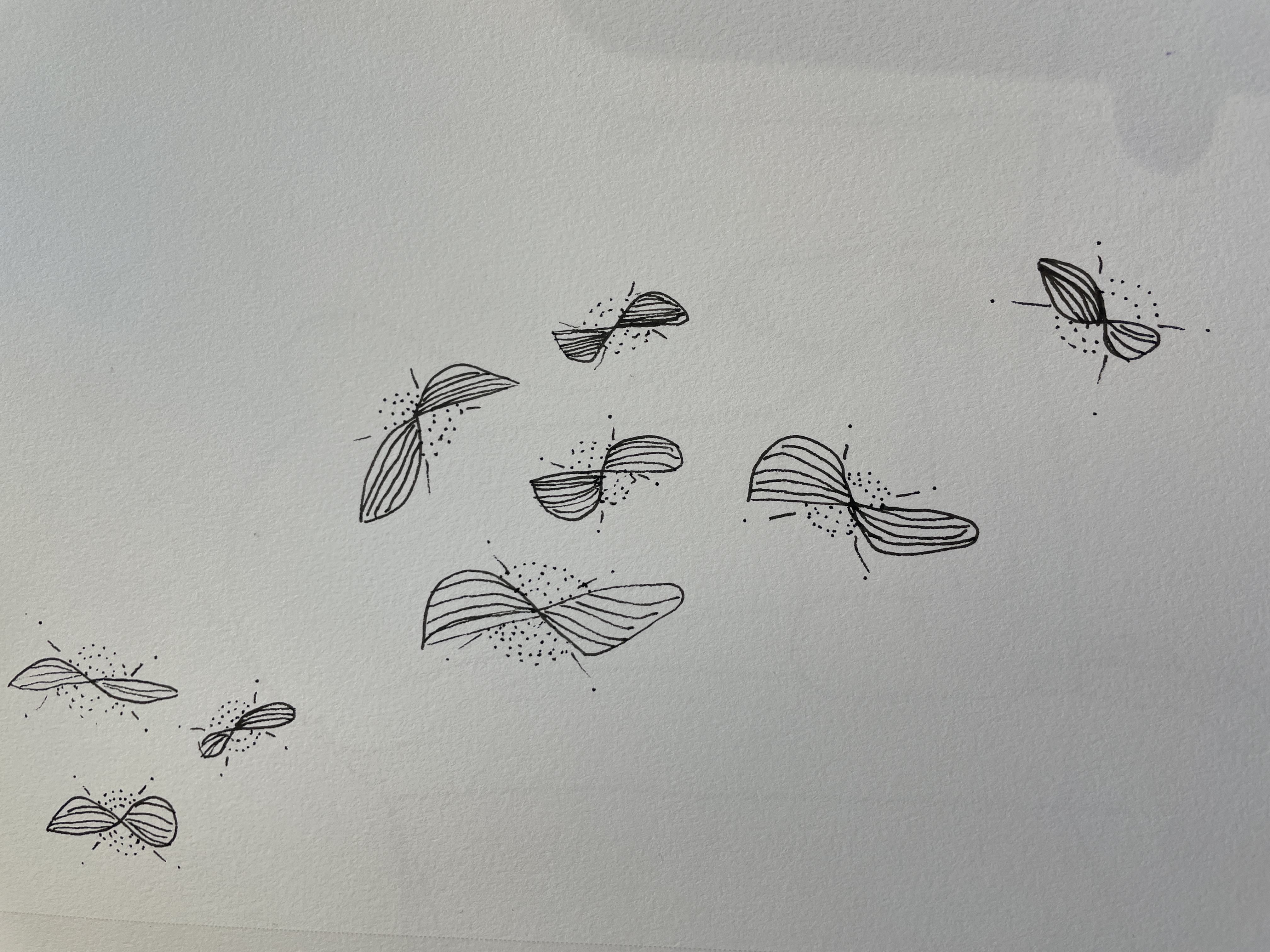 Drawing 6