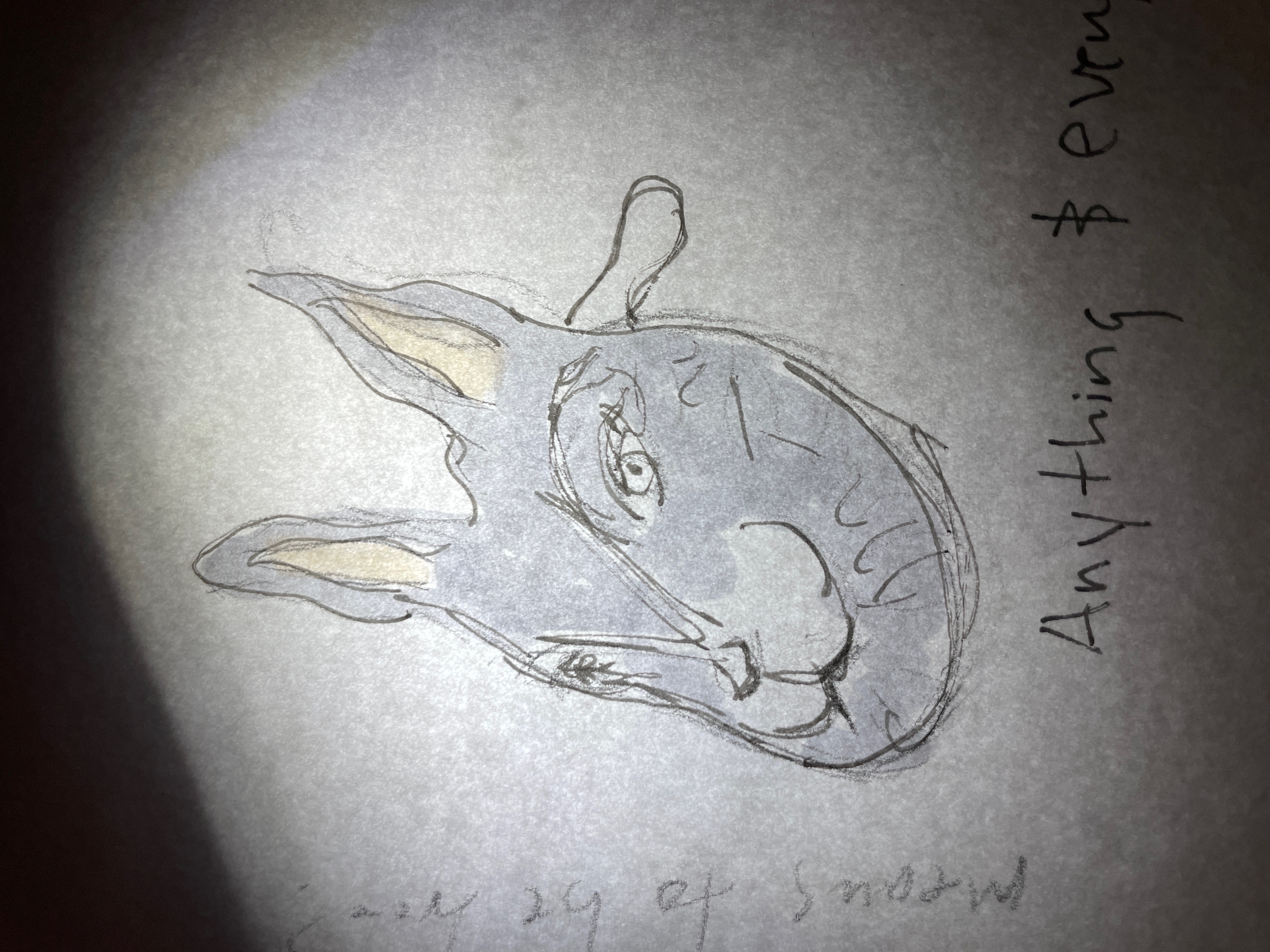 Drawing 8